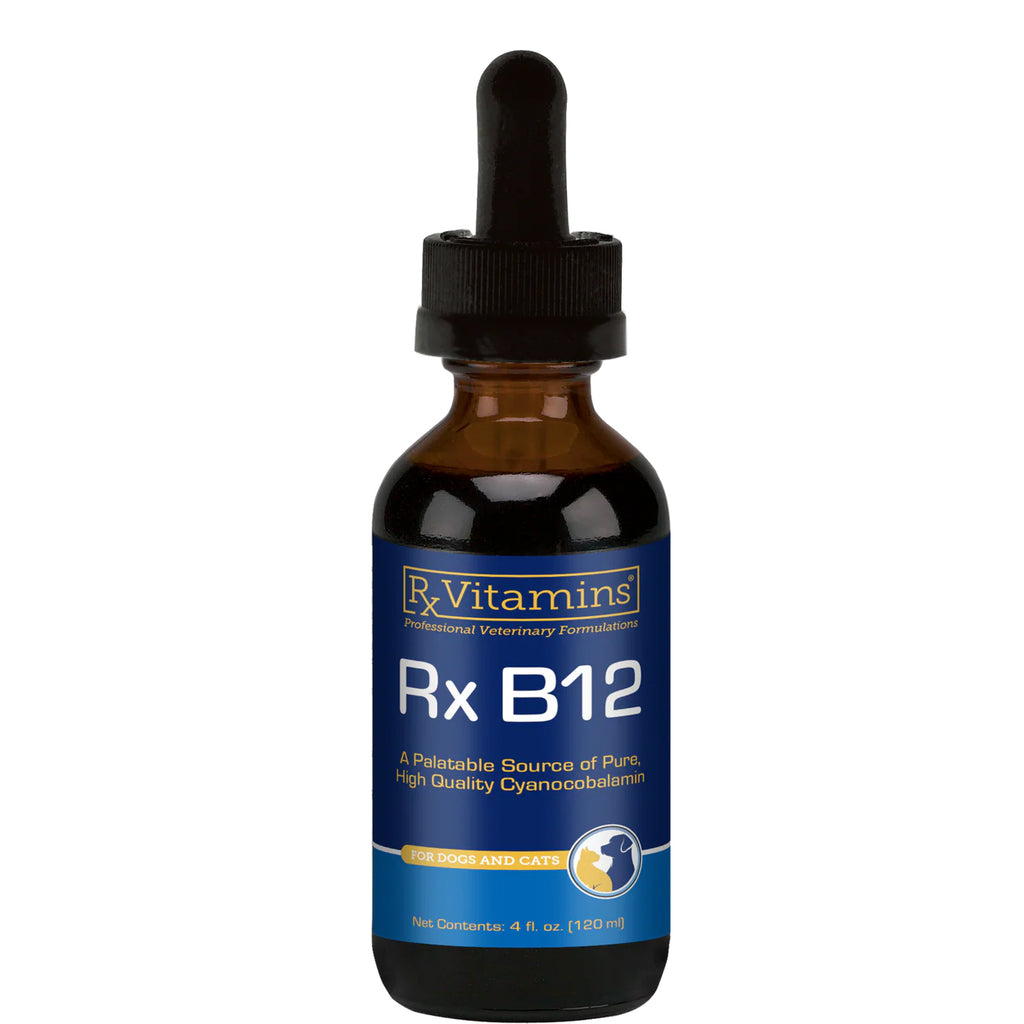 Bottle of Rx Vitamins Rx B12 supplement on a white background