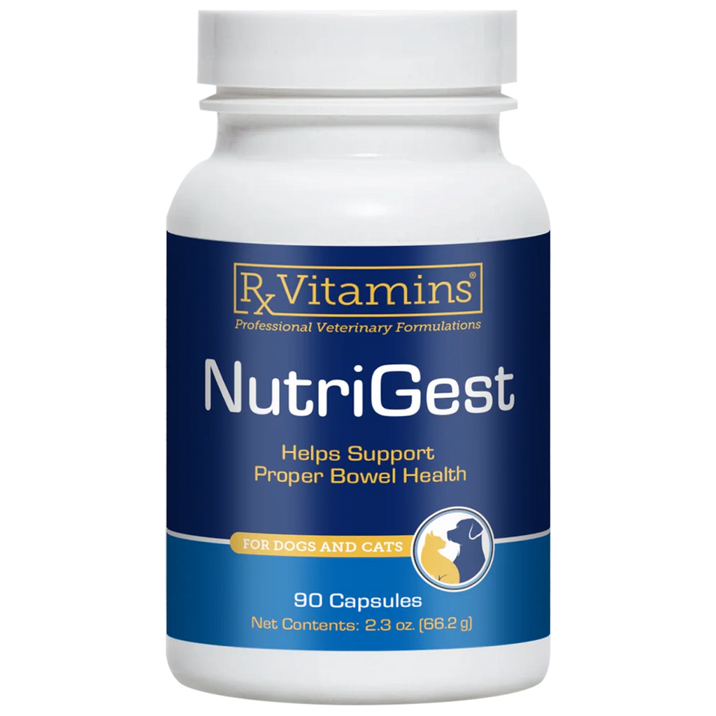 Immune Support for Dogs – Family Pet Nutrition